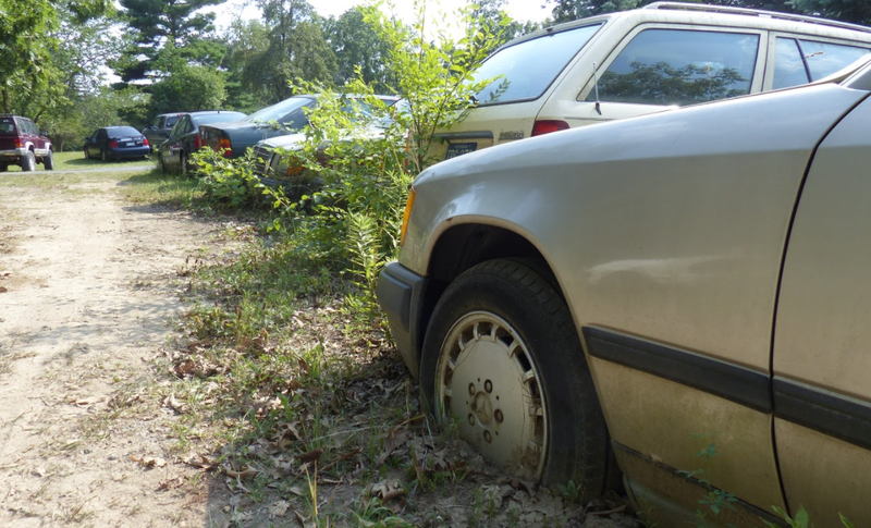 Illustration for article titled A Michigan Town Is Forcing This Man To Sell 20 Old Cars Off His Property Every Month